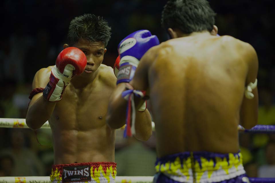 fighters-web