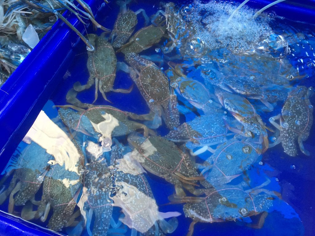 タイ,旅行,穴場,観光,水上マーケット,アンシラ,チョンブリ,シラチャ,海,市場,ローカル