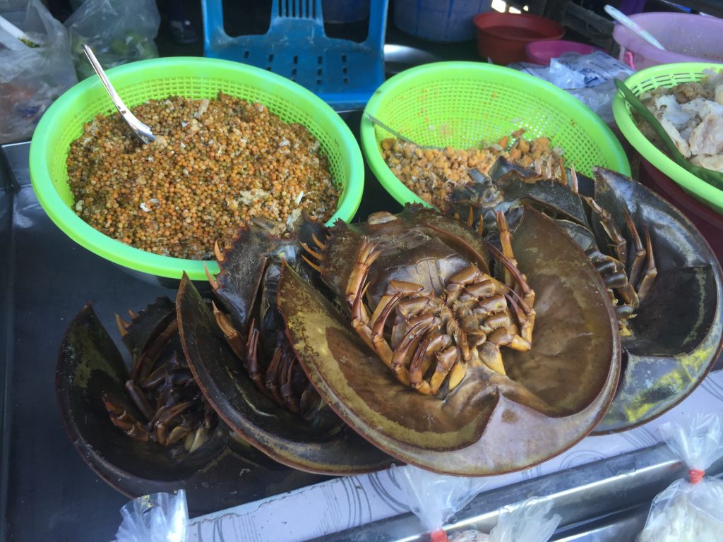 タイ,旅行,穴場,観光,水上マーケット,アンシラ,チョンブリ,シラチャ,海,市場,ローカル