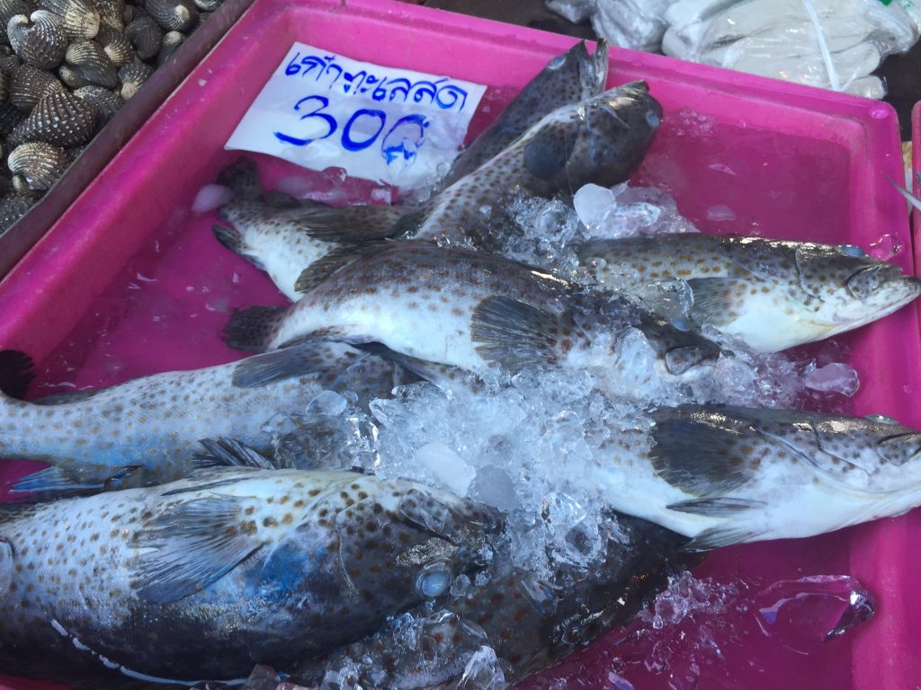 タイ,旅行,穴場,観光,水上マーケット,アンシラ,チョンブリ,シラチャ,海,市場,ローカル