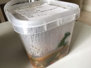 シーフードエクスプレス,Seafood Express,The Seafood Express Delivery,タイ,バンコク,出前,デリバリー,宅配,シーフード,タイ料理,プーパッポンカリー,エビ,カニ,貝,カオパッド,焼き飯,おいしい,おすすめ,facebbok,Line,インターネット,オンライン