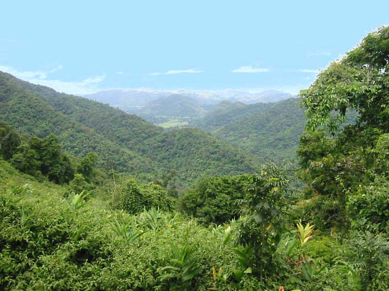 タイ,ニュース,2017年,カオヤイ,カオヤイ国立公園,旅行者,ワニ,怪我,Khao Yai,避暑地,観光地