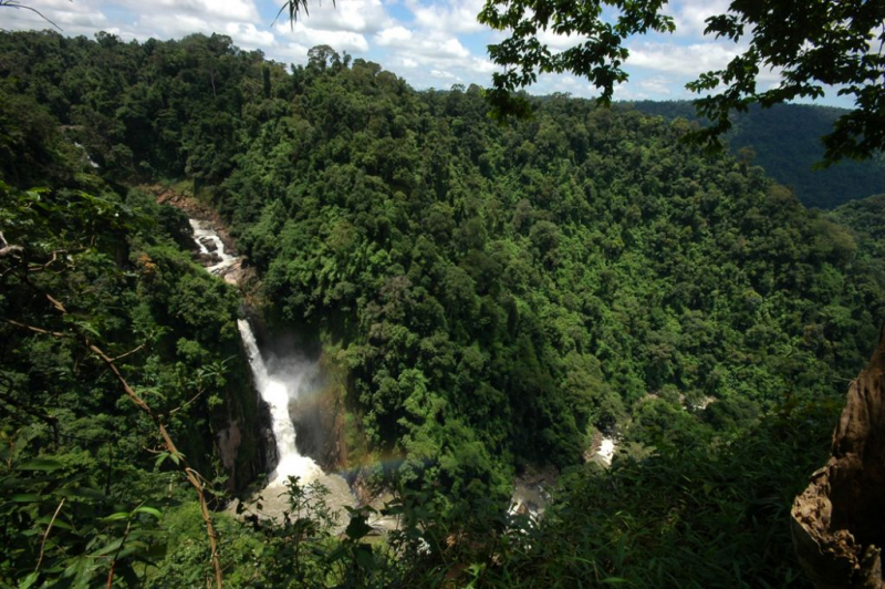 タイ,ニュース,2017年,カオヤイ,カオヤイ国立公園,旅行者,ワニ,怪我,Khao Yai,避暑地,観光地