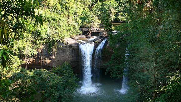 タイ,ニュース,2017年,カオヤイ,カオヤイ国立公園,旅行者,ワニ,怪我,Khao Yai,避暑地,観光地