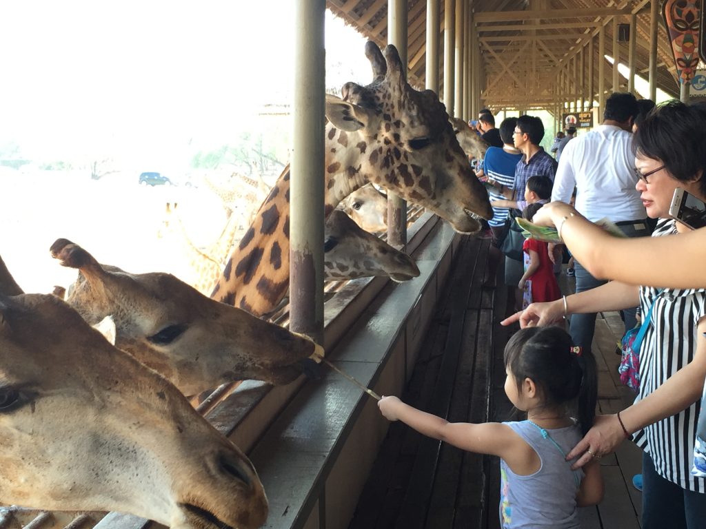 Marine Park,マリンパーク,サファリワールド,キリン,ゾウ,ホワイトタイガー,タイ,バンコク,動物園,日帰り,旅行,ツアー,家族連れ,子供連れ,観光,スポット,おすすめ,楽しい