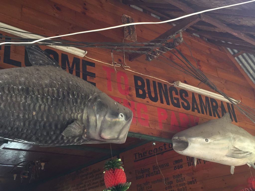 บึงสำราญ จังหวัด กรุงเทพมหานคร,Bungsamran Fishing Park,ブンサムラン・フィッシングパーク,タイ,バンコク,釣り,フィッシング,魚釣り,メコンオオナマズ,怪魚ハンター,旅行,観光,おすすめ,楽しい,グルメ,タイ料理2017年,最新,情報,移転,閉鎖