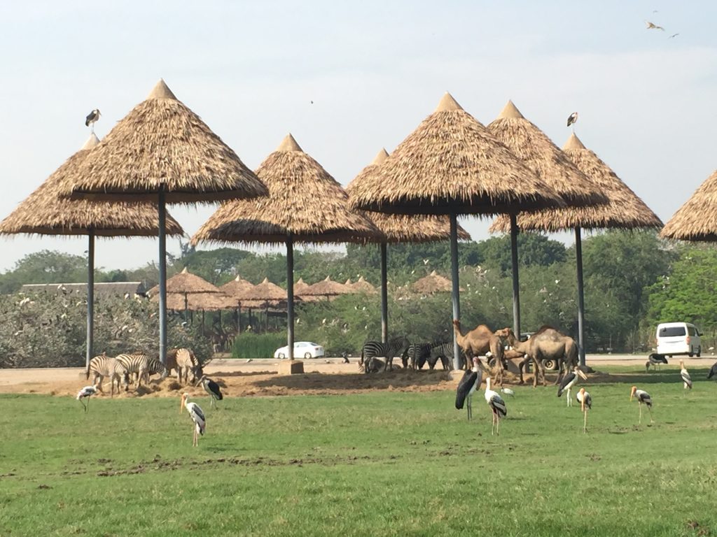 サファリワールド,Safari World,バンコク,動物園,日帰り,観光,ツアー,旅行,家族連れ,子供連れ,おすすめ,スポット,サファリパーク,