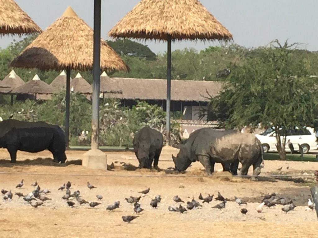 サファリワールド,Safari World,バンコク,動物園,日帰り,観光,ツアー,旅行,家族連れ,子供連れ,おすすめ,スポット,サファリパーク,