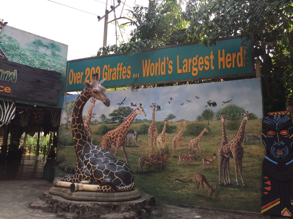 Marine Park,マリンパーク,サファリワールド,キリン,ゾウ,ホワイトタイガー,タイ,バンコク,動物園,日帰り,旅行,ツアー,家族連れ,子供連れ,観光,スポット,おすすめ,楽しい