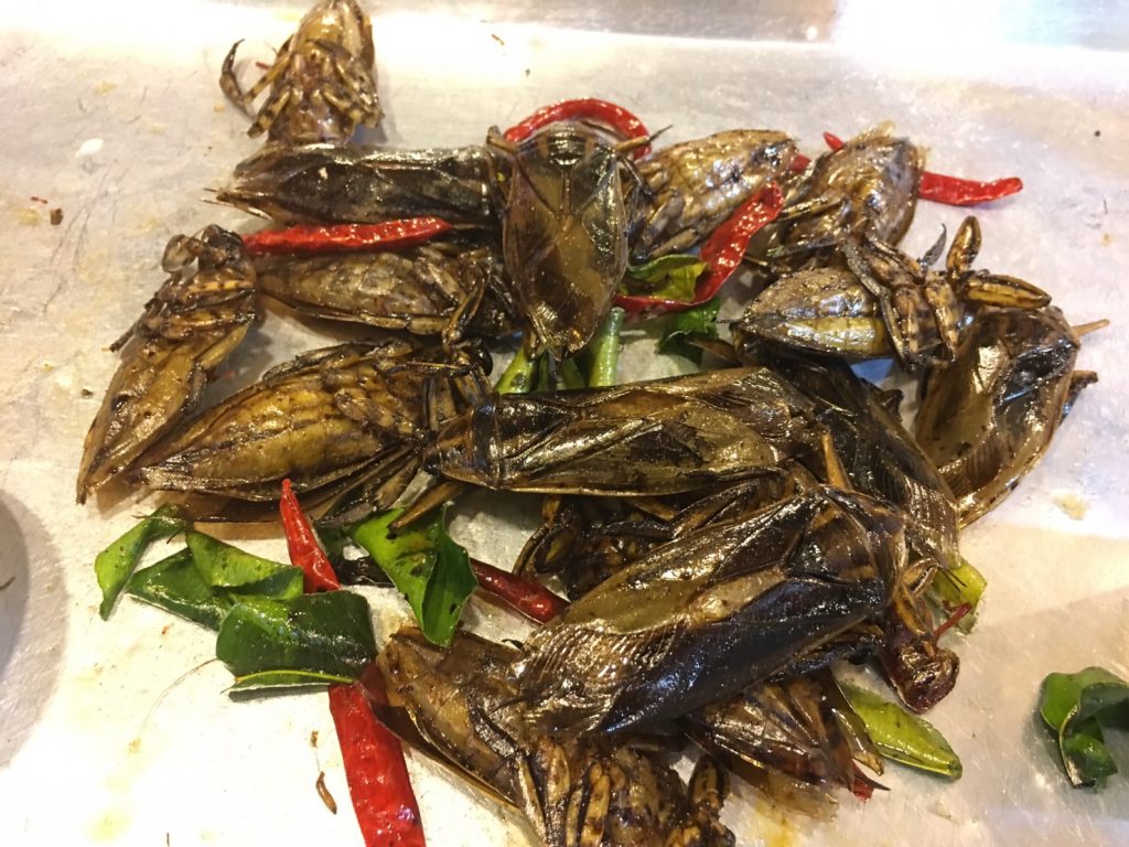 Talat Rotfai Ratchada,タラートロットファイ・ラチャダー,タイ,バンコク,ナイトマーケット,市場,ラチャダー,タイランドカルチャーセンター駅,行き方,説明,住所