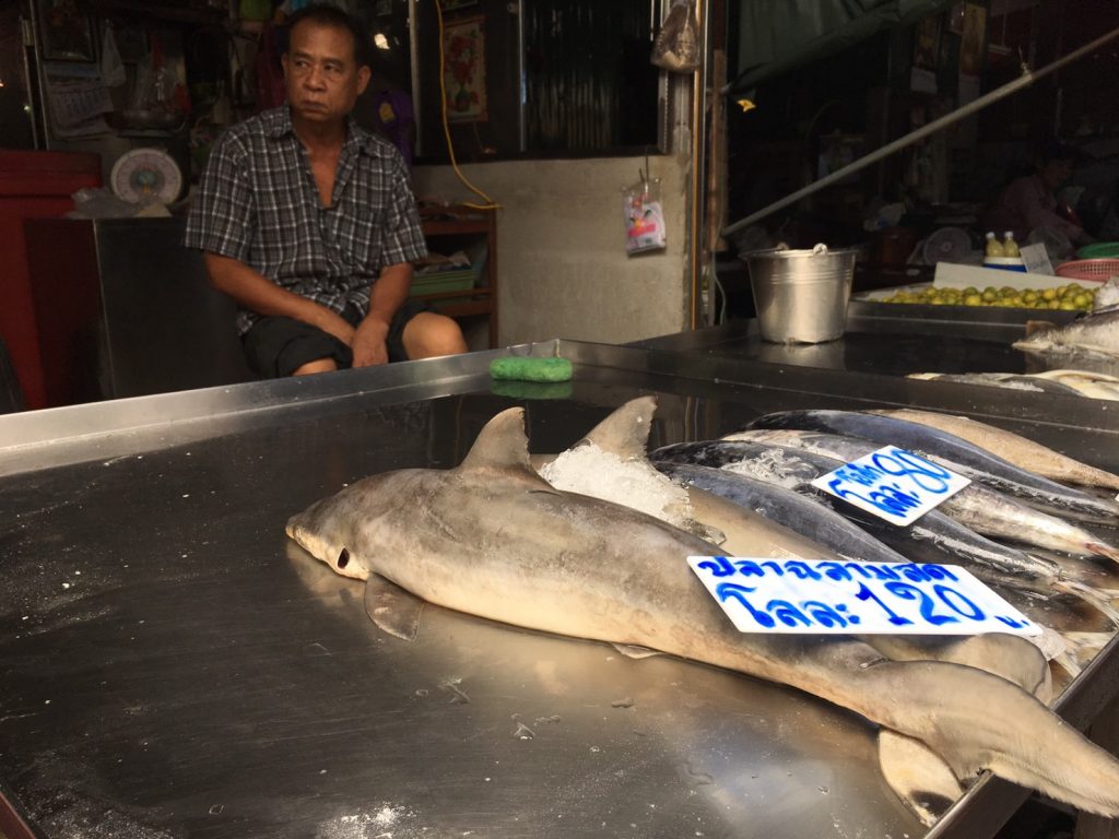 Mae Klong Market,メークロン市場,鉄道市場,タイ,バンコク,旅行,観光,おすすめ,行き方,住所,地図,説明,時刻表