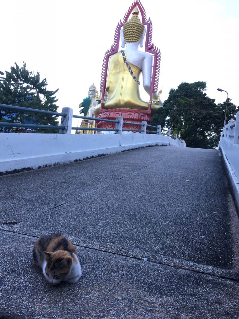 ワットクンジャン,ワットクンチャン,Wat KhunJan,วัดขุนจันทร์,タイ,バンコク,寺院,お寺,観光,スポット,旅行,行き方,説明,住所