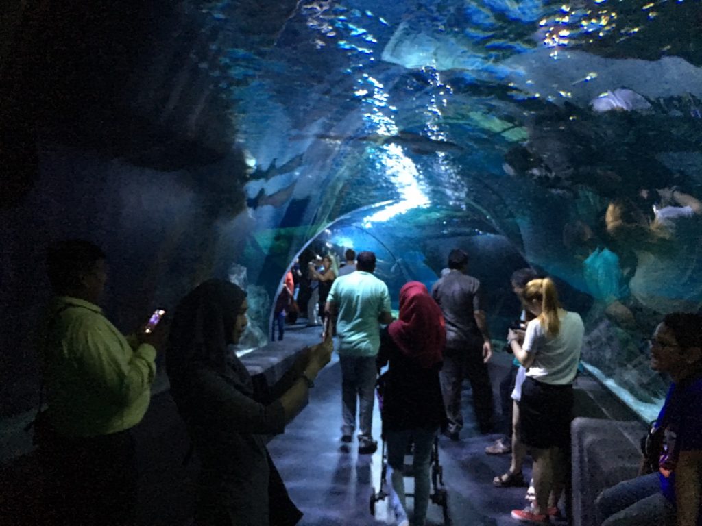 タイ,バンコク,水族館,サイアムオーシャンワールド,シーライフバンコク,サイアム駅,サイアムパラゴン,レジャー,観光,Sea Life Bangkok,ซี ไลฟ์ บางกอก โอเชียนเวิลด์