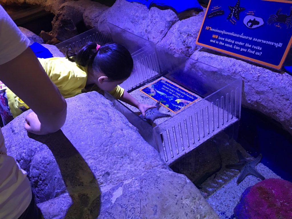 タイ,バンコク,水族館,サイアムオーシャンワールド,シーライフバンコク,サイアム駅,サイアムパラゴン,レジャー,観光,Sea Life Bangkok,ซี ไลฟ์ บางกอก โอเชียนเวิลด์