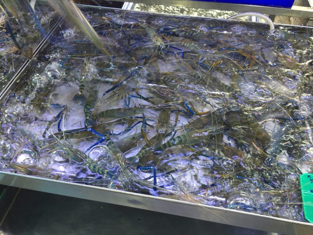 Naklua Fish Market,ランプ―マーケット,ナクルアマーケット,ローカル市場,タイ,パタヤ,魚,魚介類,マーケット,