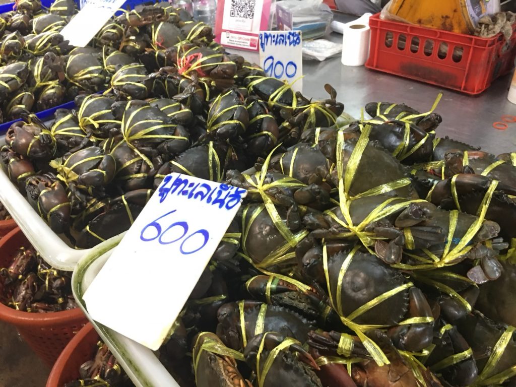 Naklua Fish Market,ランプ―マーケット,ナクルアマーケット,ローカル市場,タイ,パタヤ,魚,魚介類,マーケット,