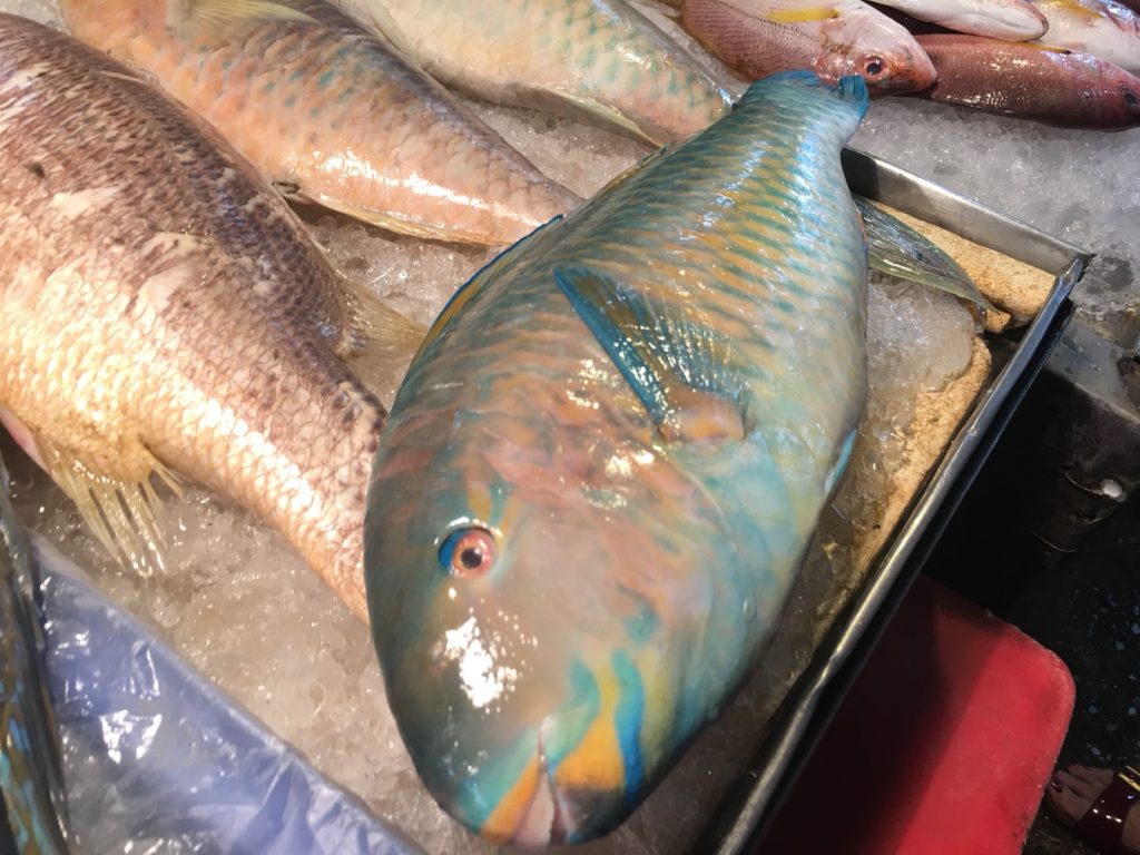 Naklua Fish Market,ランプ―マーケット,ナクルアマーケット,ローカル市場,タイ,パタヤ,魚,魚介類,マーケット,