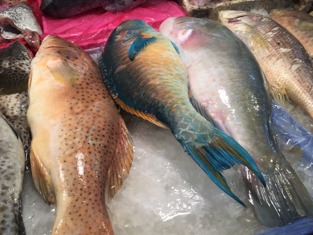 Naklua Fish Market,ランプ―マーケット,ナクルアマーケット,ローカル市場,タイ,パタヤ,魚,魚介類,マーケット,