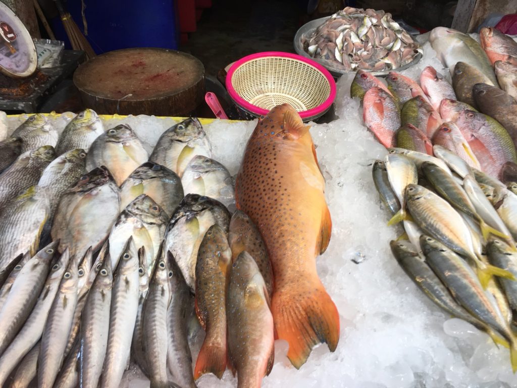Naklua Fish Market,ランプ―マーケット,ナクルアマーケット,ローカル市場,タイ,パタヤ,魚,魚介類,マーケット,