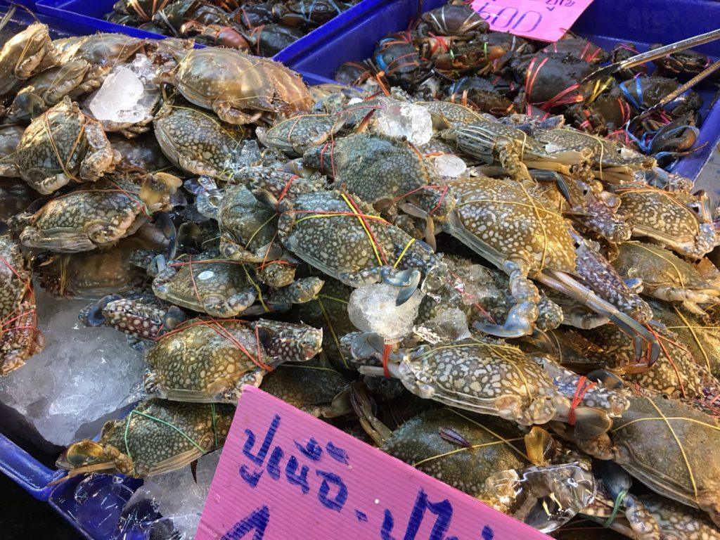 Naklua Fish Market,ランプ―マーケット,ナクルアマーケット,ローカル市場,タイ,パタヤ,魚,魚介類,マーケット,