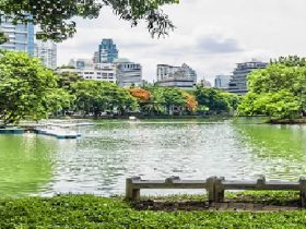 Silom,MRT,シーロム,ジョギング,公園,広場,散歩,ミズオオトカゲ,Lunpini Park,タイ,バンコク,観光,観光スポット,ルンピニー公園,ルンピニー,スタジアム,移転