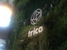 trica,トリカ,オンヌット,Big C,唐揚げ,カフェ,Cafe,日本料理,和食,豚汁,とん汁,ホステル,Hostel,宅配,デリバリー