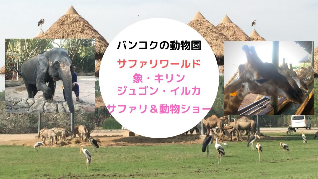 サファリワールド,Safari World,バンコク,動物園,日帰り,観光,ツアー,旅行,家族連れ,子供連れ,おすすめ,スポット,サファリパーク,