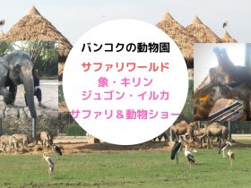 サファリワールド,Safari World,バンコク,動物園,日帰り,観光,ツアー,旅行,家族連れ,子供連れ,おすすめ,スポット,サファリパーク,