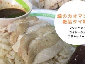 タイ,バンコク,カオマンガイ,緑のカオマンガイ,クワンヘン・ガイトーン・プラトゥナーム,Kueng Heng Pratunam Chicken Rice,ร้านอาหารก่วงเฮงไก่ตอนประตูน้ำ,グルメ,タイ料理