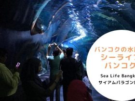 タイ,バンコク,水族館,サイアムオーシャンワールド,シーライフバンコク,サイアム駅,サイアムパラゴン,レジャー,観光,Sea Life Bangkok,ซี ไลฟ์ บางกอก โอเชียนเวิลด์