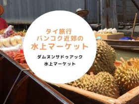 タイ,バンコク,観光,おすすめ,水上マーケット,ダムヌンサドゥアック水上マーケット,Damnoen Saduak Floating Market,ตลาดน้ำดำเนินสะดวก,行き方,説明,住所,地図