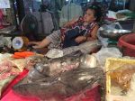 Naklua Fish Market,ランプ―マーケット,ナクルアマーケット,ローカル市場,タイ,パタヤ,魚,魚介類,マーケット,